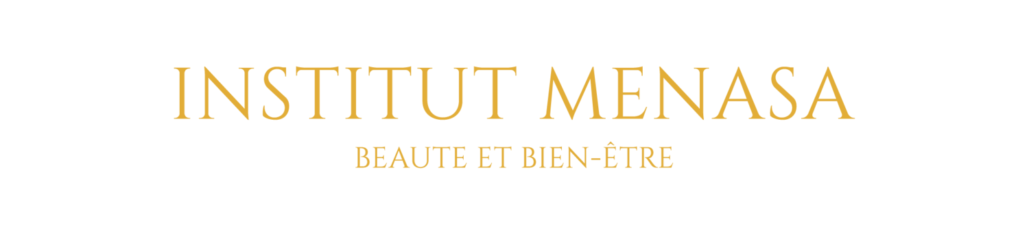 Logo Institut Menasa Paris 19